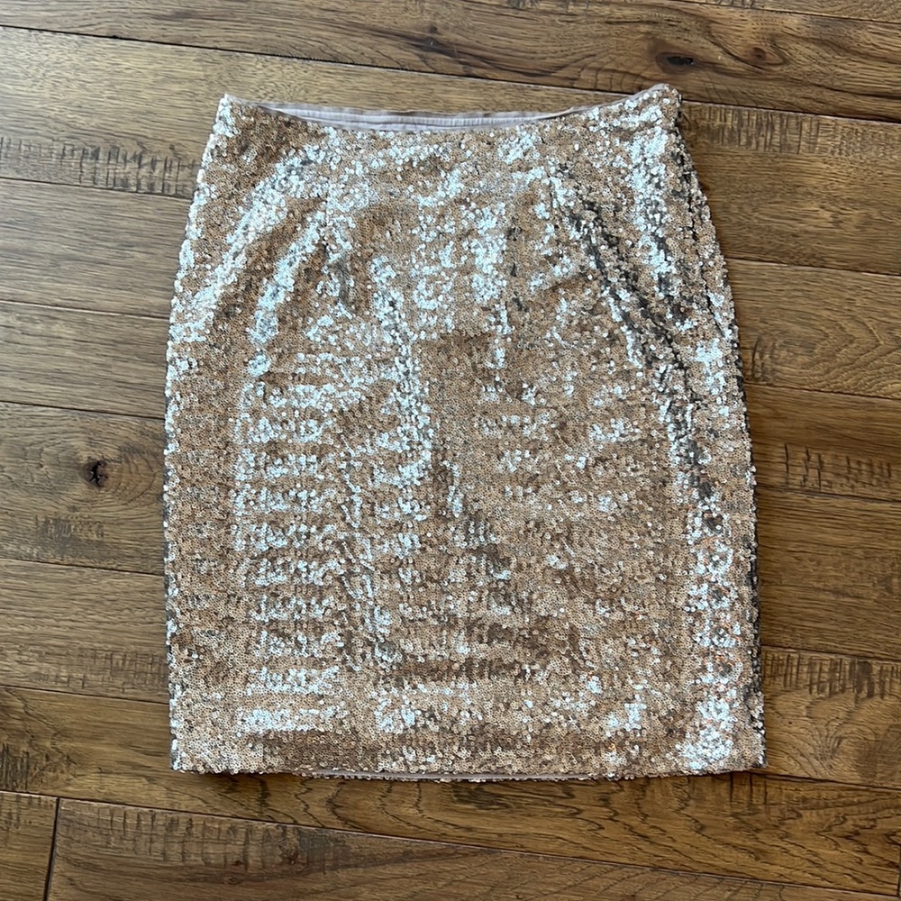 Banana Republic Heritage Silver Sequined Skirt